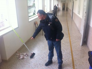 accoltellamento genovesi