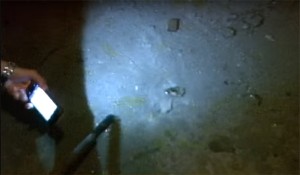 INFILTRAZIONI PIAZZA PORTANOVA