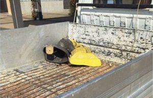 RIMOZIONE BUSTO ALMIRANTE