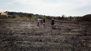 INCENDIO OASI PERSANO