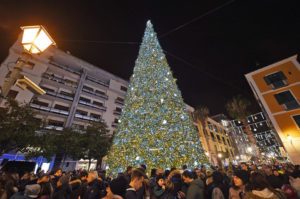 3404056_AccensioneAlbero19